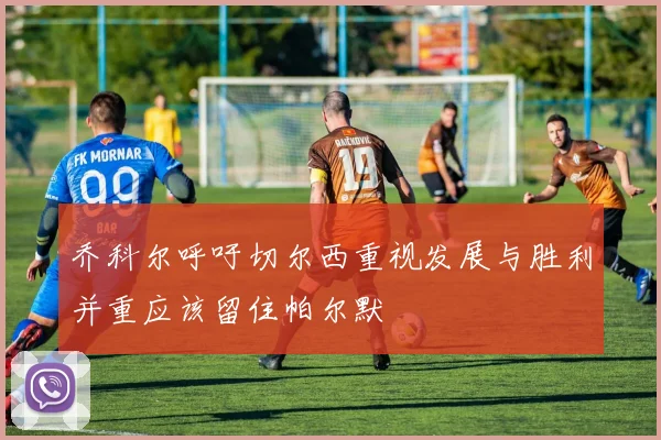 乔科尔呼吁切尔西重视发展与胜利并重应该留住帕尔默