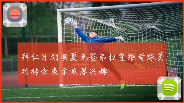 拜仁计划明夏免签弗拉霍维奇球员对转会表示浓厚兴趣