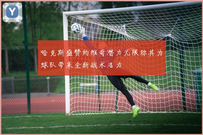 哈克斯盛赞约维奇潜力无限称其为球队带来全新战术活力